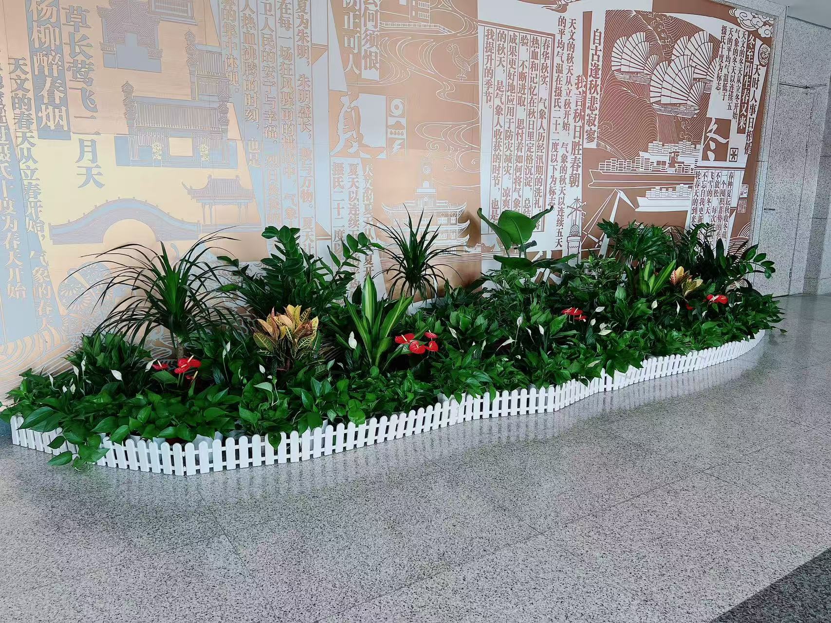 领略宁波北仑绿植出租设计，营造舒适办公环境